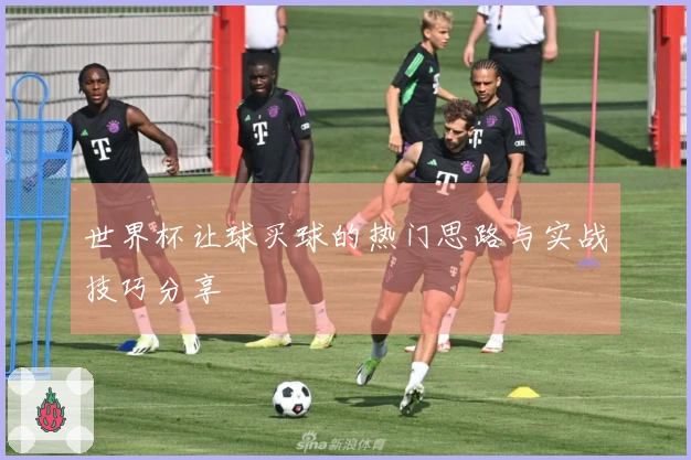 世界杯让球买球的热门思路与实战技巧分享