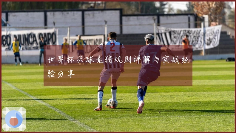 世界杯买球竞猜规则详解与实战经验分享