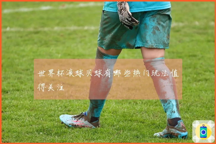 世界杯滚球买球有哪些热门玩法值得关注