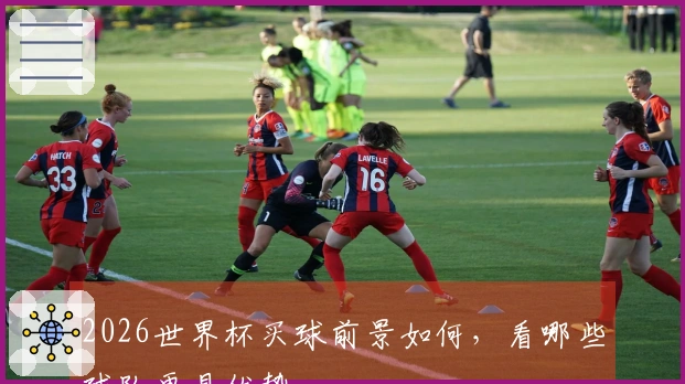 2026世界杯买球前景如何，看哪些球队更具优势