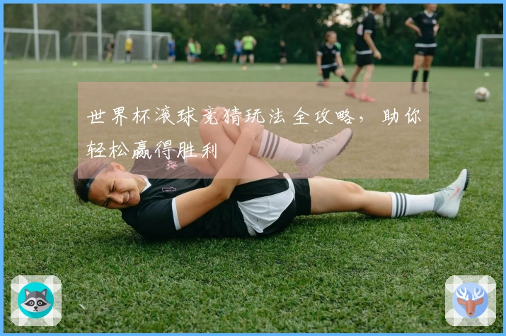 世界杯滚球竞猜玩法全攻略，助你轻松赢得胜利
