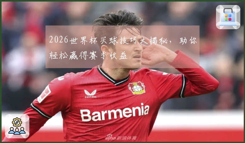 2026世界杯买球技巧大揭秘，助你轻松赢得赛季收益