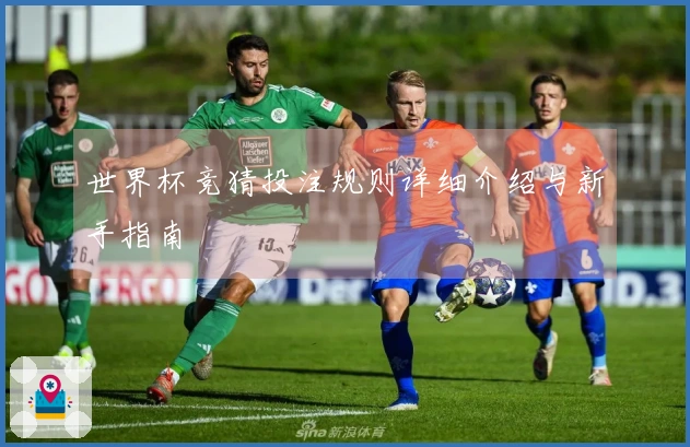 世界杯竞猜投注规则详细介绍与新手指南