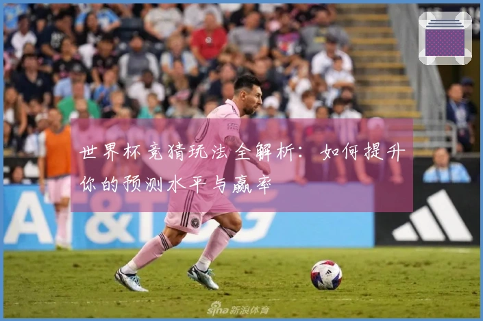 世界杯竞猜玩法全解析：如何提升你的预测水平与赢率