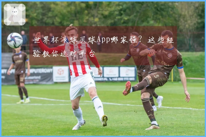世界杯滚球买球App哪家强？这些经验教你选对平台