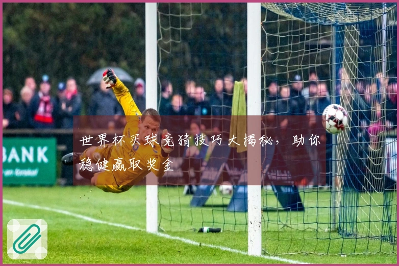 世界杯买球竞猜技巧大揭秘，助你稳健赢取奖金