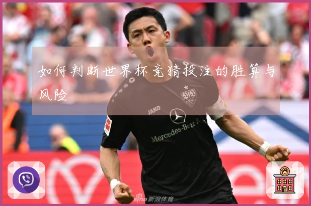 如何判断世界杯竞猜投注的胜算与风险