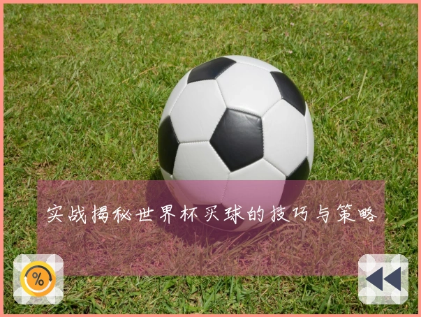 实战揭秘世界杯买球的技巧与策略