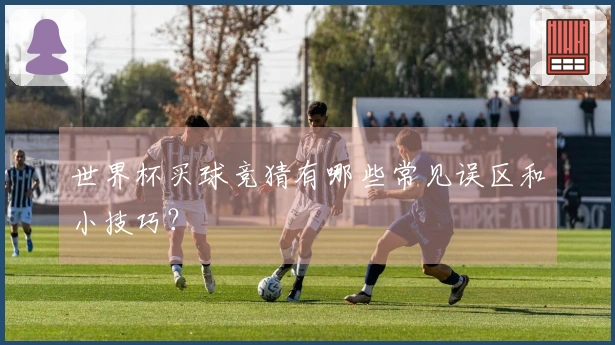 世界杯买球竞猜有哪些常见误区和小技巧？